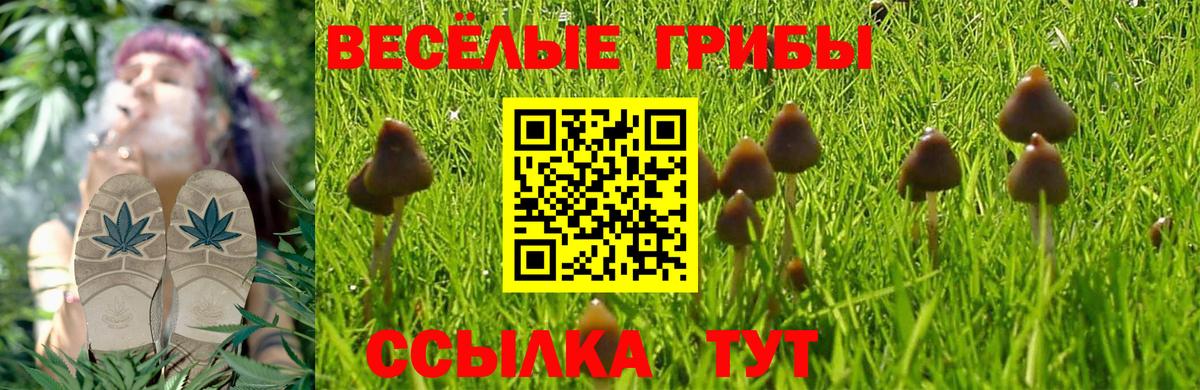 Псилоцибиновые грибы Magic Shrooms Гусь-Хрустальный