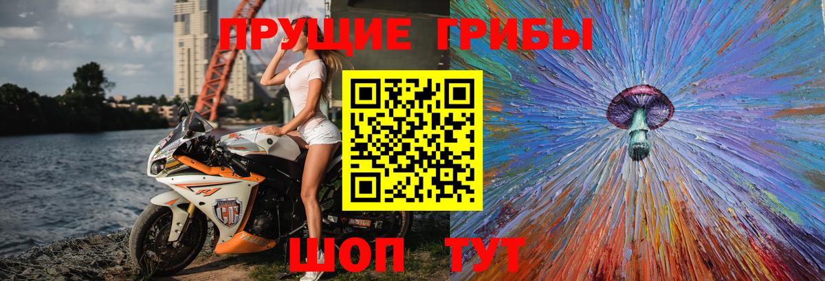 Галлюциногенные грибы прущие грибы  где купить наркоту  Гусь-Хрустальный  Псилоцибиновые грибы мухоморы  Вход с VPN 